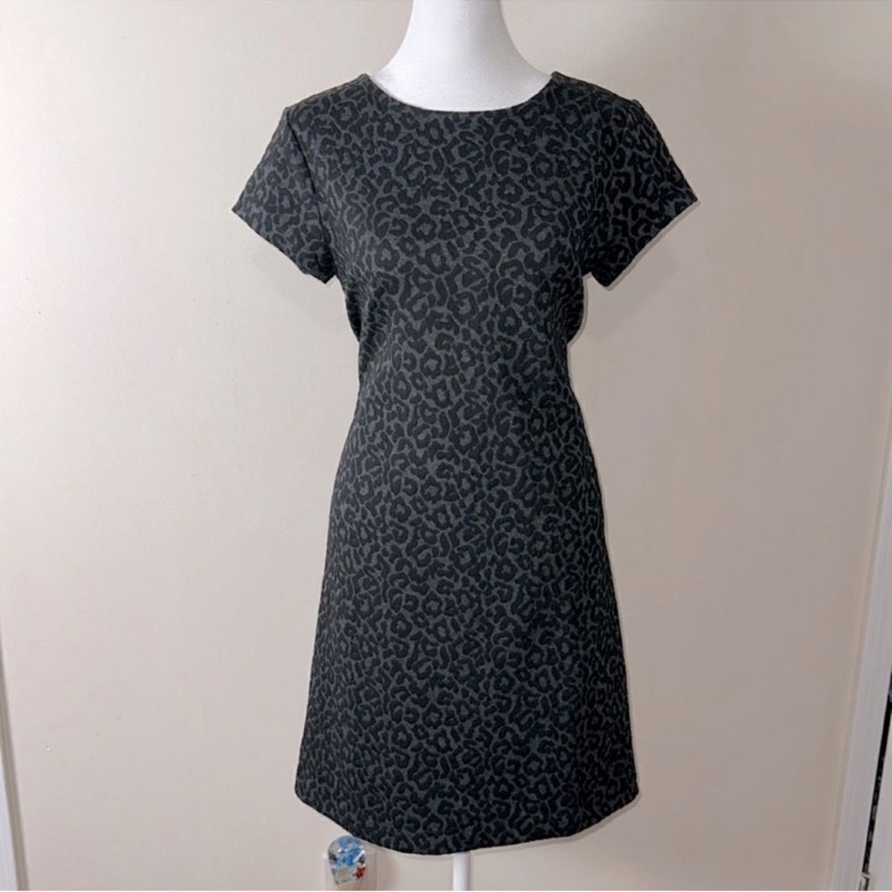LOFT S Black Gray Leopard Animal Print Short Sleeve Shift Dress